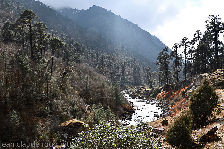 Simbuwa Khola - Kanchenjunga trek (2018)