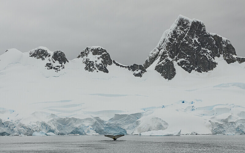  - Ushuaïa Malvinas South Georgia Antartica Peninsula