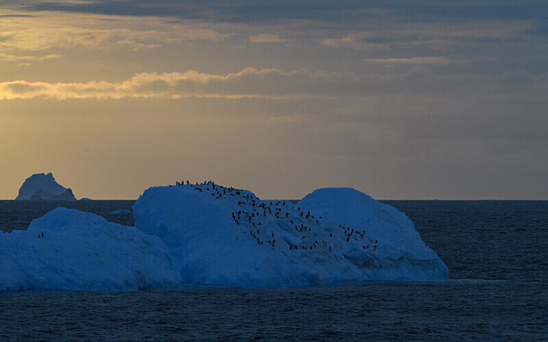  - Ushuaïa Malvinas South Georgia Antartica Peninsula