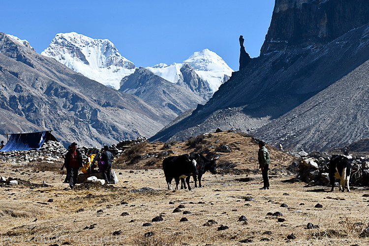 Ramtang - Kanchenjunga trek (2018)