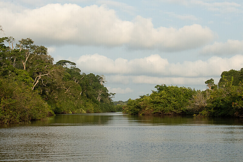 Akaka river - Loango national park (Gabon 2024)