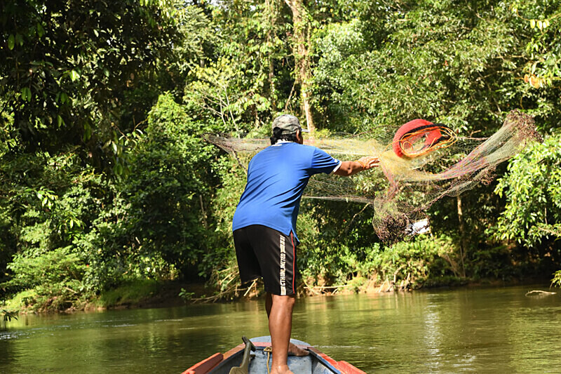Batang AÏ - Sarawak (avril 2024) Borneo Malaisie