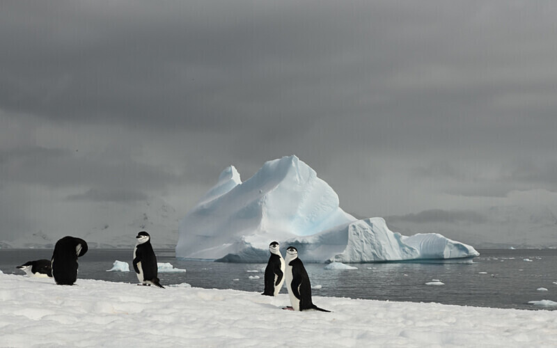 Two Hummock Island - Ushuaïa Malvinas South Georgia Antartica Peninsula