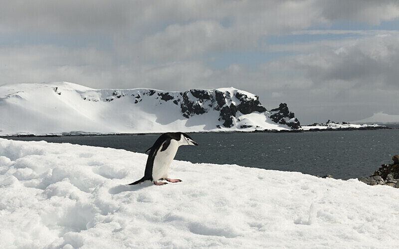  - Ushuaïa Malvinas South Georgia Antartica Peninsula