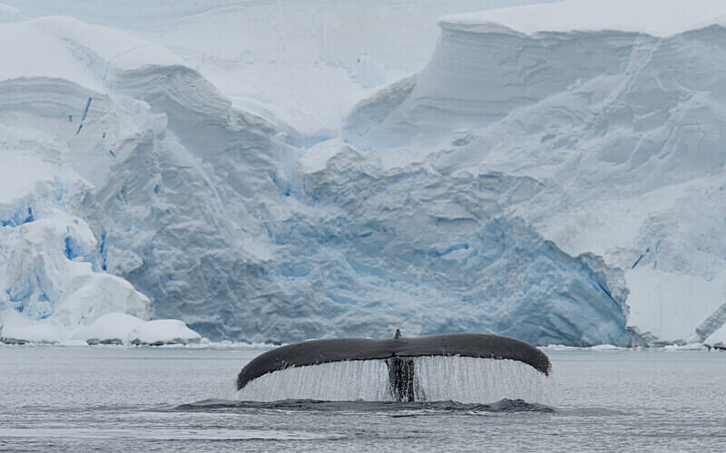  - Ushuaïa Malvinas South Georgia Antartica Peninsula