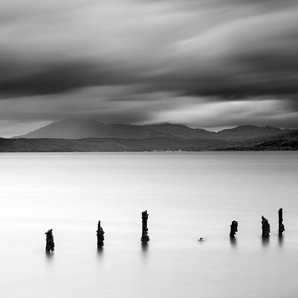 Posts from the Timber Ponds in the River Clyde at Port Glasgow