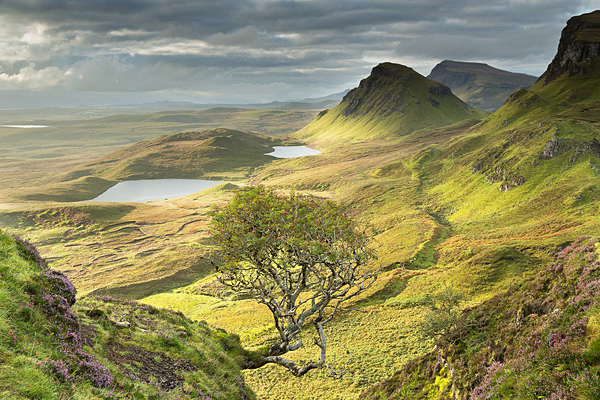 Trotternish Ridge morning light