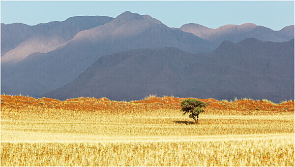 Savannah and mountains, Wolwedans - Namibia