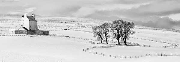 Corgarff fences - Monochrome landscape