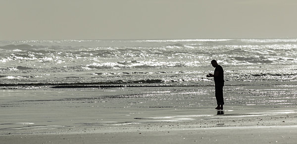 Shell seeker, Muriwai - New Zealand