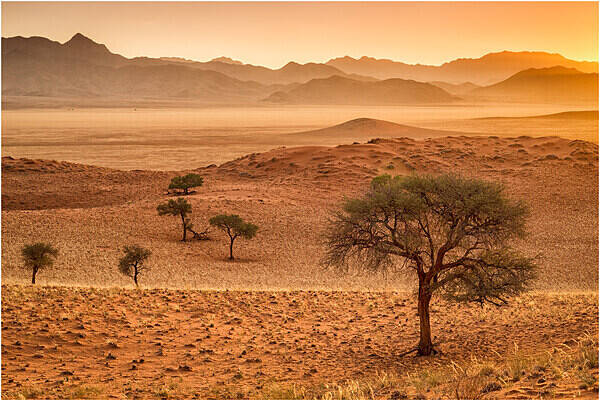 Evening light on the Chateau Plains - Namibia