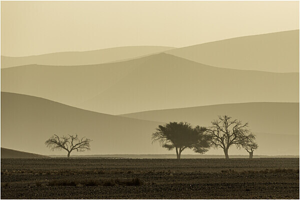 Dunes recession, Namibia-Naukluft National Park - Namibia