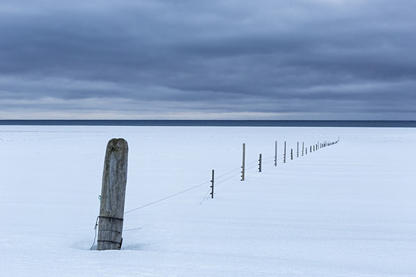 Fenceline in snow - Iceland winter