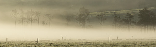 Early morning mist, Kaukapakapa - New Zealand