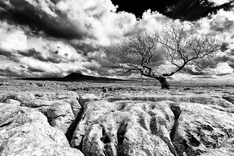  - Landscapes - Black and White