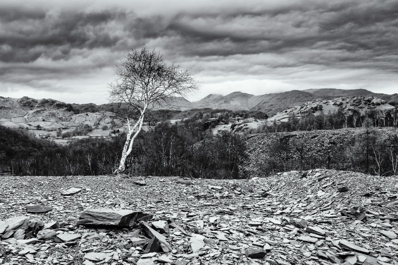 Hodge Close Quarry - Landscapes - Black and White