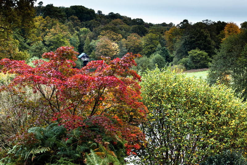  - Landscapes - Colour