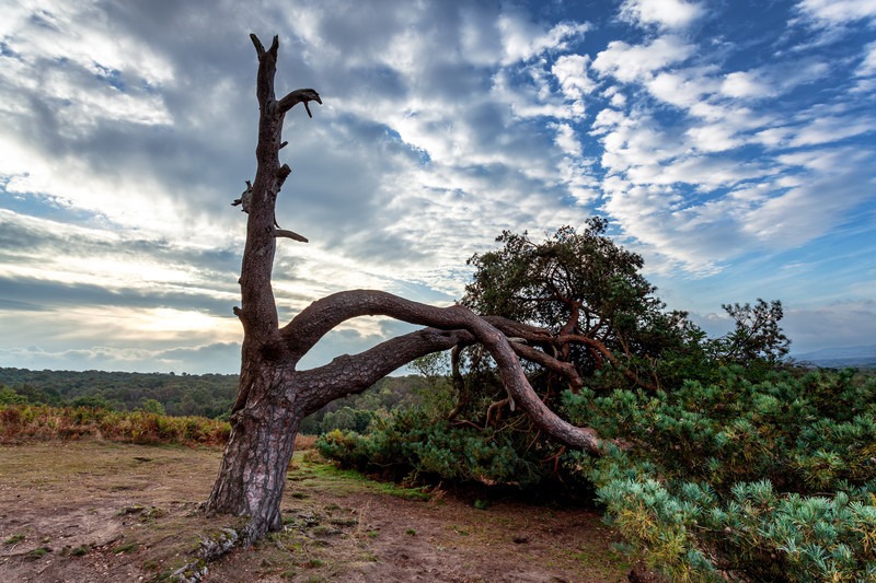  - Landscapes - Colour