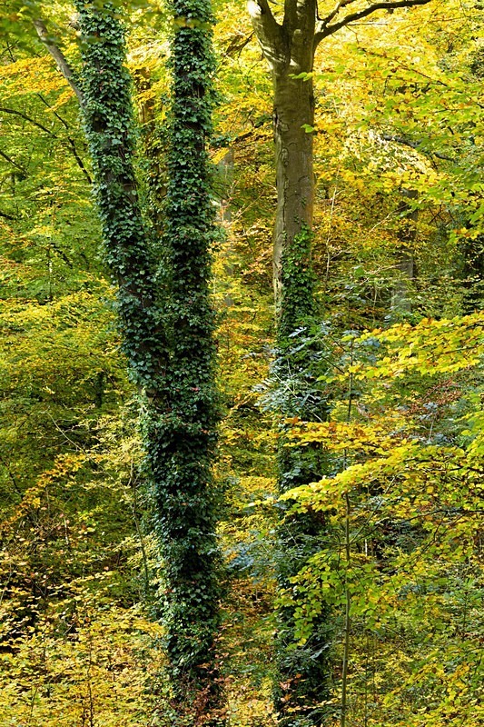  - Landscapes - Colour