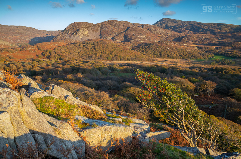 Autumn light, Carreg-y-Saeth - Snowdonia images
