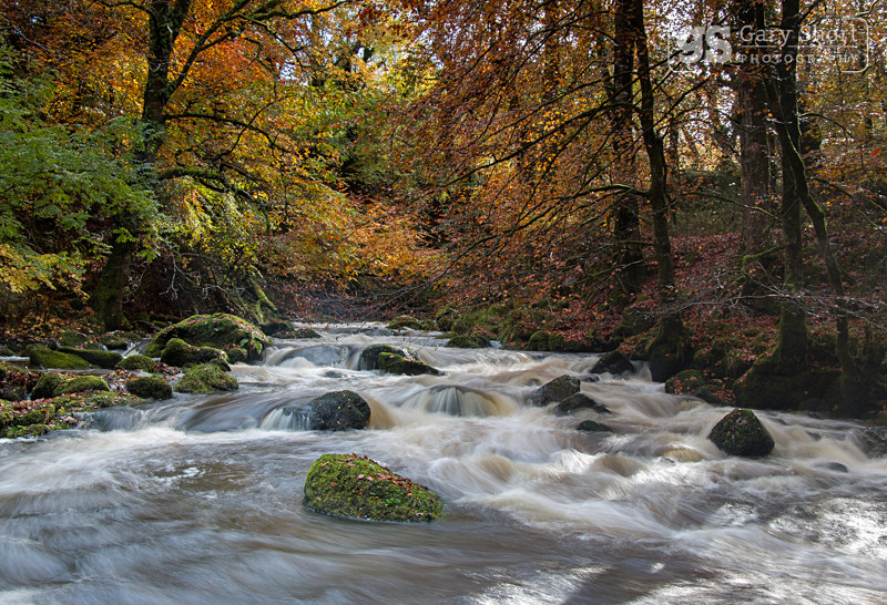 Rustic colours, Afon Clywedog - Snowdonia images