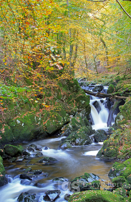 Torrent Walk, autumn - Snowdonia images