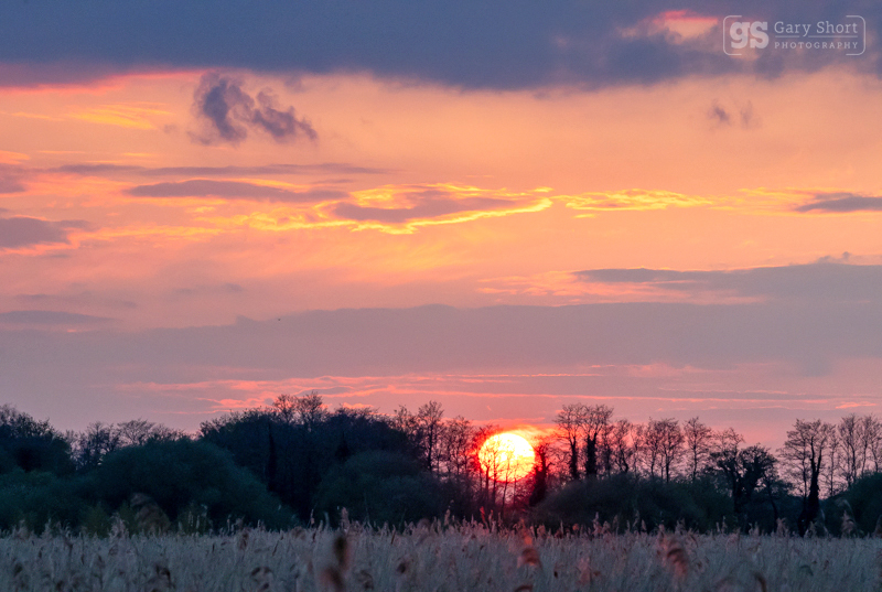 Avalon sunset - Latest images