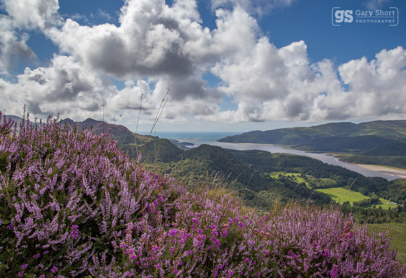 Late summer above the Mawddach - Snowdonia images