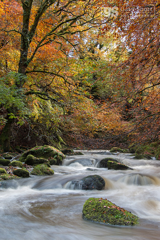 October, Afon Clywedog - Snowdonia images