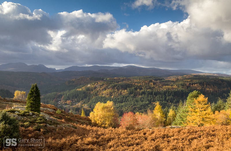 Autumnal light, Gwydyr Forest - Snowdonia images