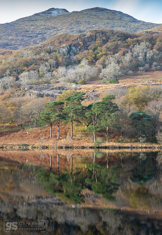 Autumn, Llyn Gwynant & Yr Aran - Snowdonia images