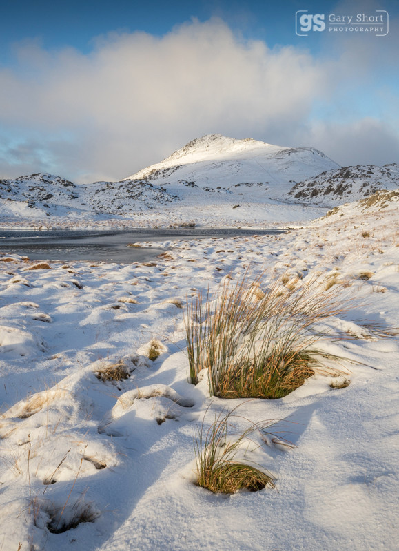 December snowfall, Arenig Fawr - Snowdonia images