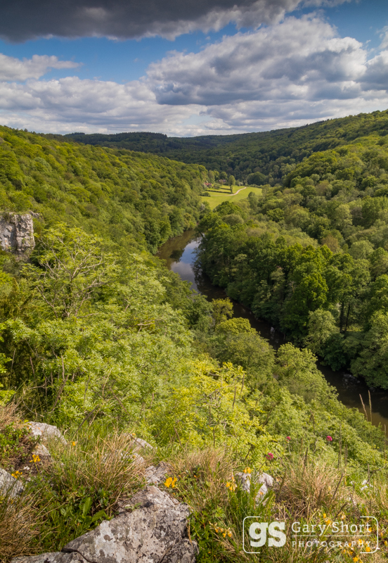 Summer in the Wye Valley - Mid & South Wales images
