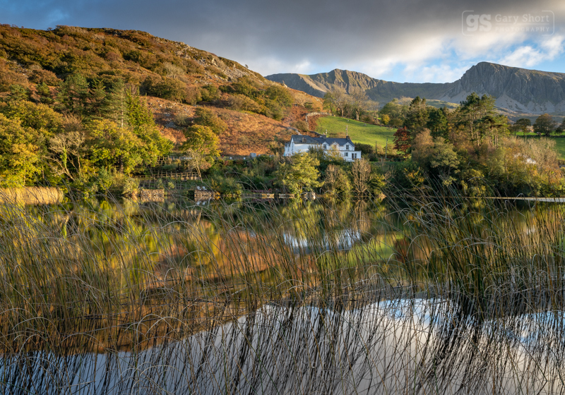 Llyn Gwernan reflections - Cadair Idris