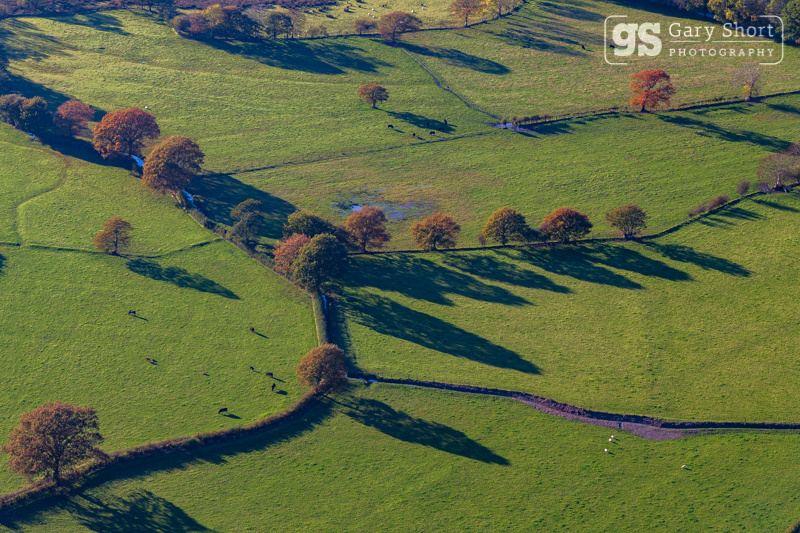 Talyllyn shadows - Snowdonia images