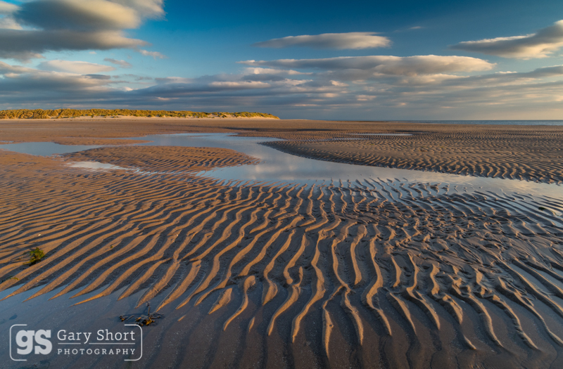 Twyni Bach, Dyfi Estuary - Mid & South Wales images