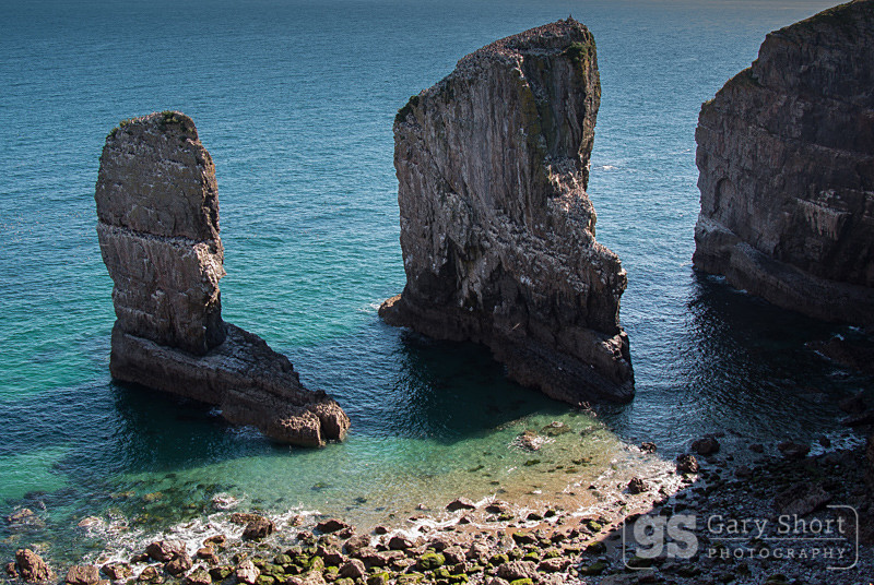 Elegug Stacks - Pembrokeshire