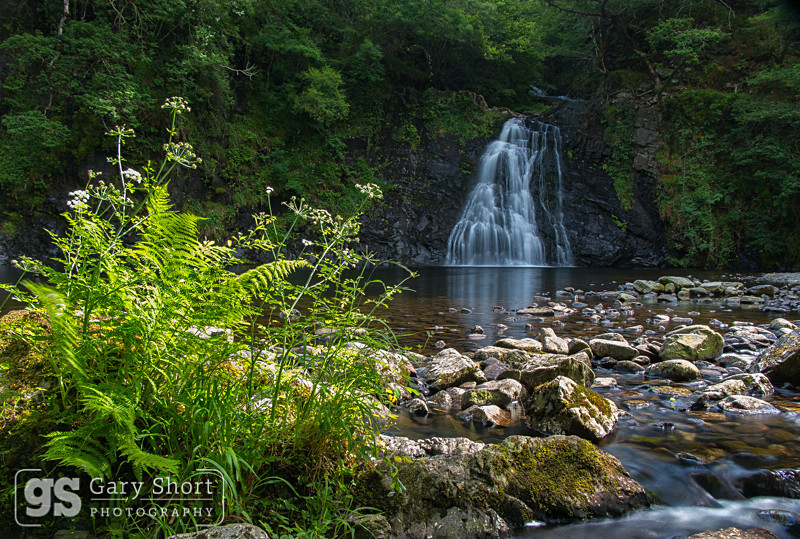 Ceunant Llennyrch Nature Reserve - Snowdonia images