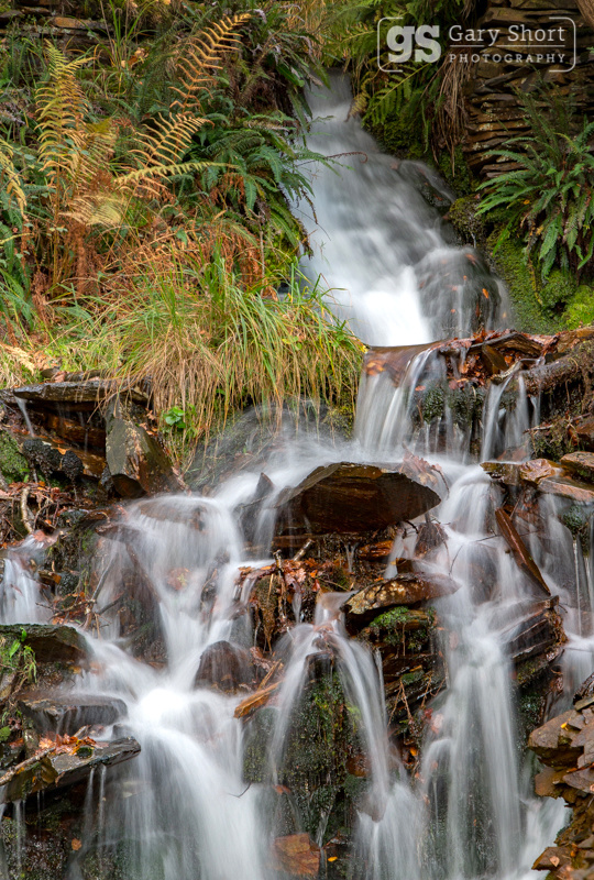 Autumn stream, Snowdonia - Snowdonia images