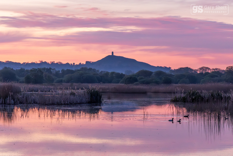 Dawn light, Glastonbury Tor - Latest images