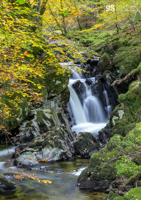 Autumn, Afon Clywedog - Snowdonia images