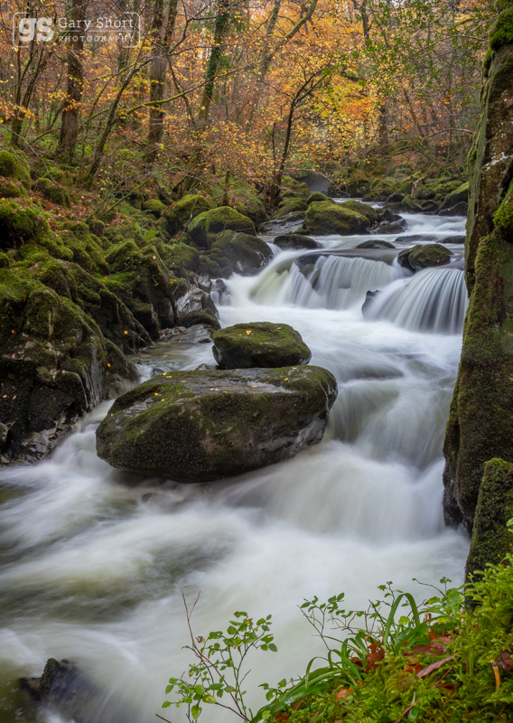 Autumn, Afon Clywedog - Snowdonia images