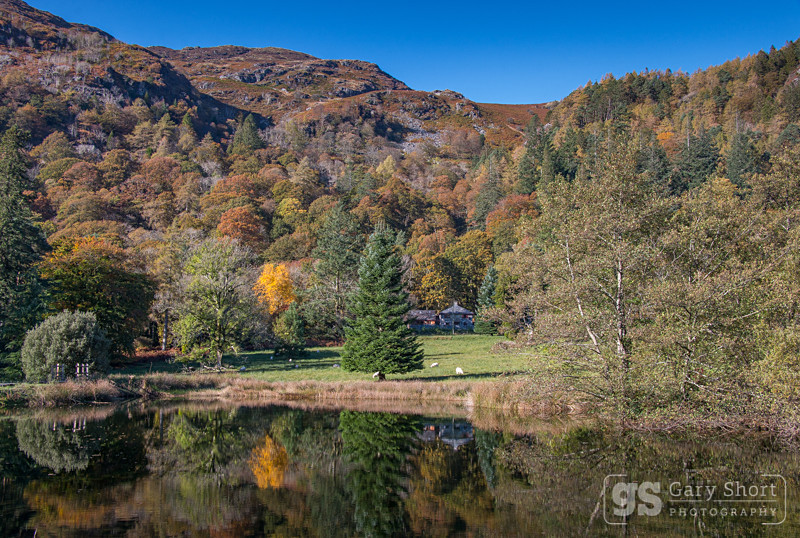 Dol y Cae, autumn colour - Snowdonia images