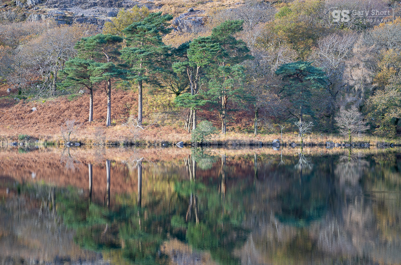 Autumn colours, Llyn Gwynant - Snowdonia images