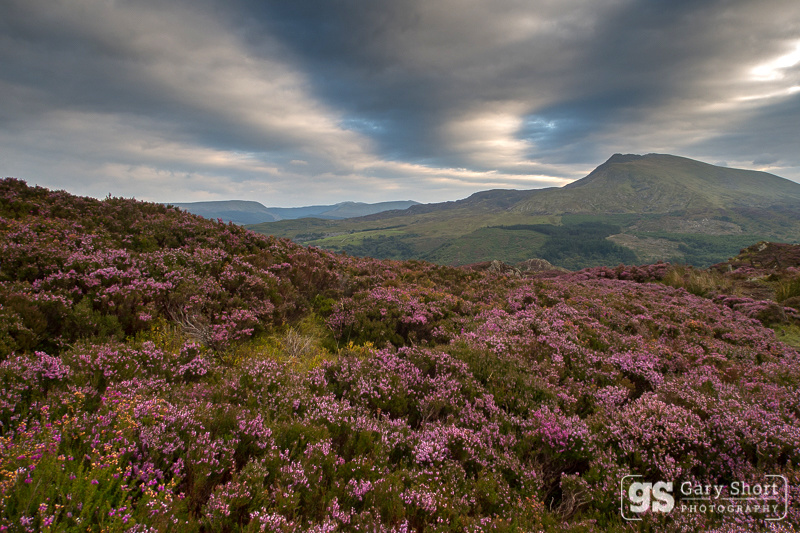 Moel Siabod clouds - Snowdonia images