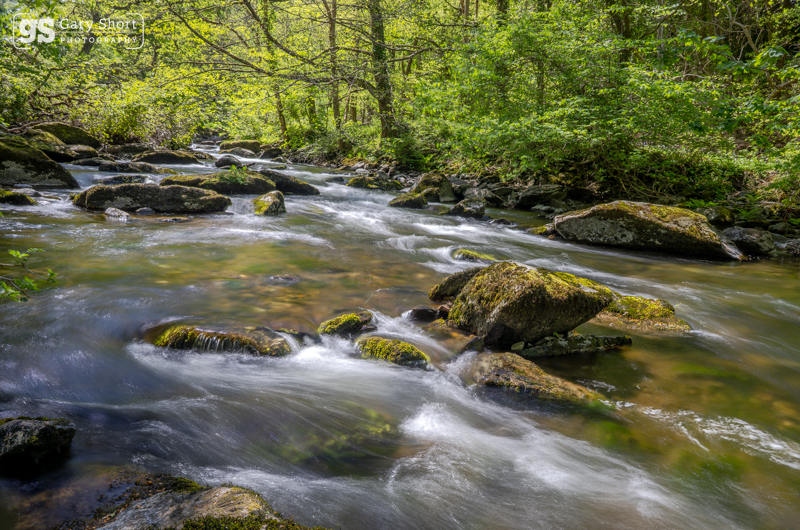 The East Lyn river near Lynmouth - Exmoor National Park