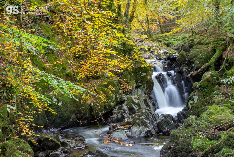 Waterfall, Afon Clywedog - Snowdonia images