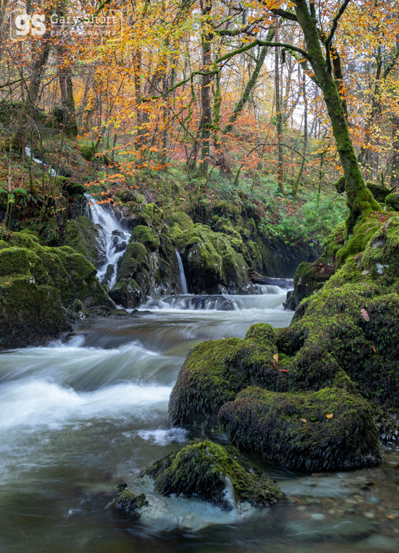 Autumn light, Afon Clywedog - Snowdonia images