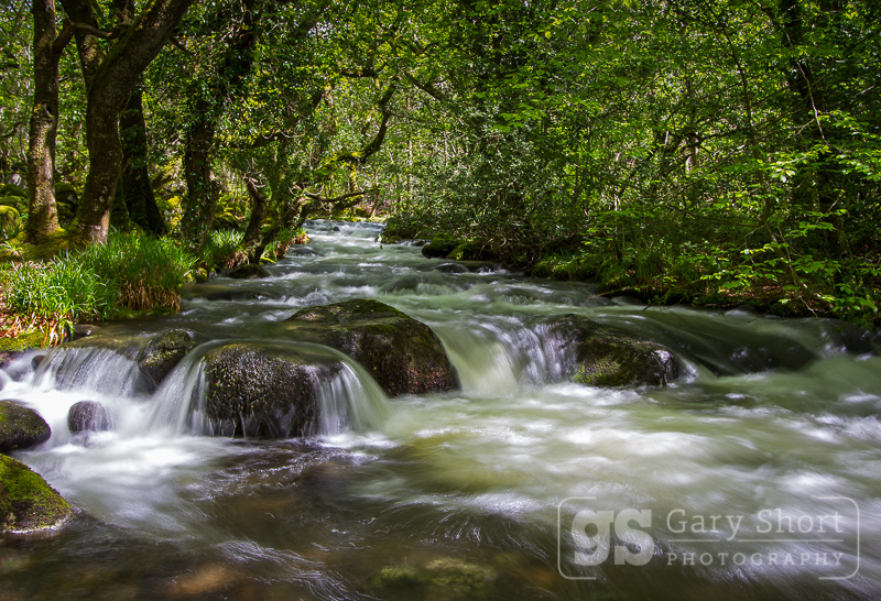 Afon Ysgethin near Talybont - Snowdonia images