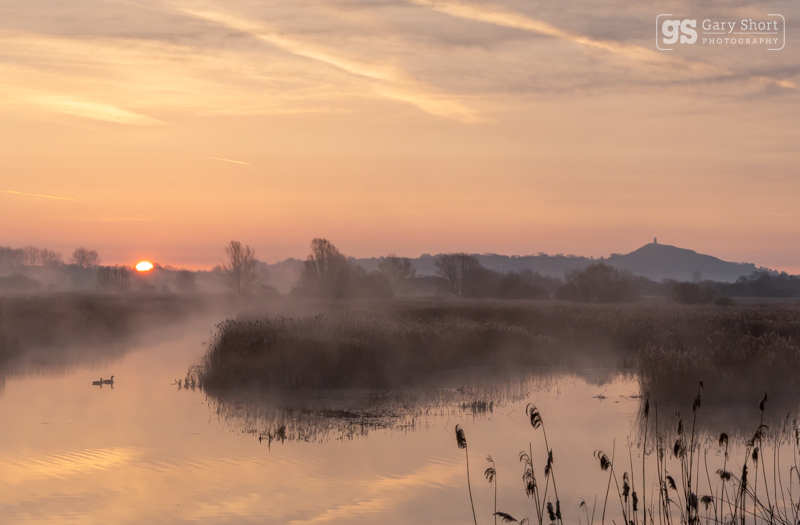 Sunrise on the Avalon Marshes - Latest images